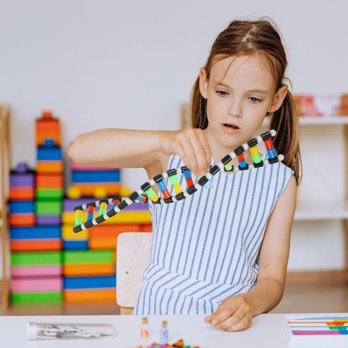 Biologisches Lehrmodell DNA Kindermodelle Doppelhelix Schülerspielzeug - Bild 2 von 12