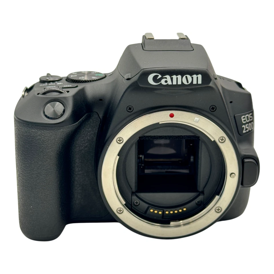 Canon EOS 250D EF-S 18-55mm IS STM Kit  1000 Ausl. Neuwertig MwSt. ausweisbar - Bild 3 von 4