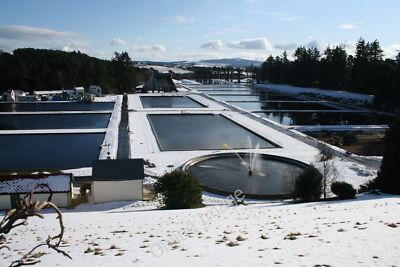 Photo 6x4 Vartry Reservoir, County Wicklow Knockatemple Viewed from the R c2009
