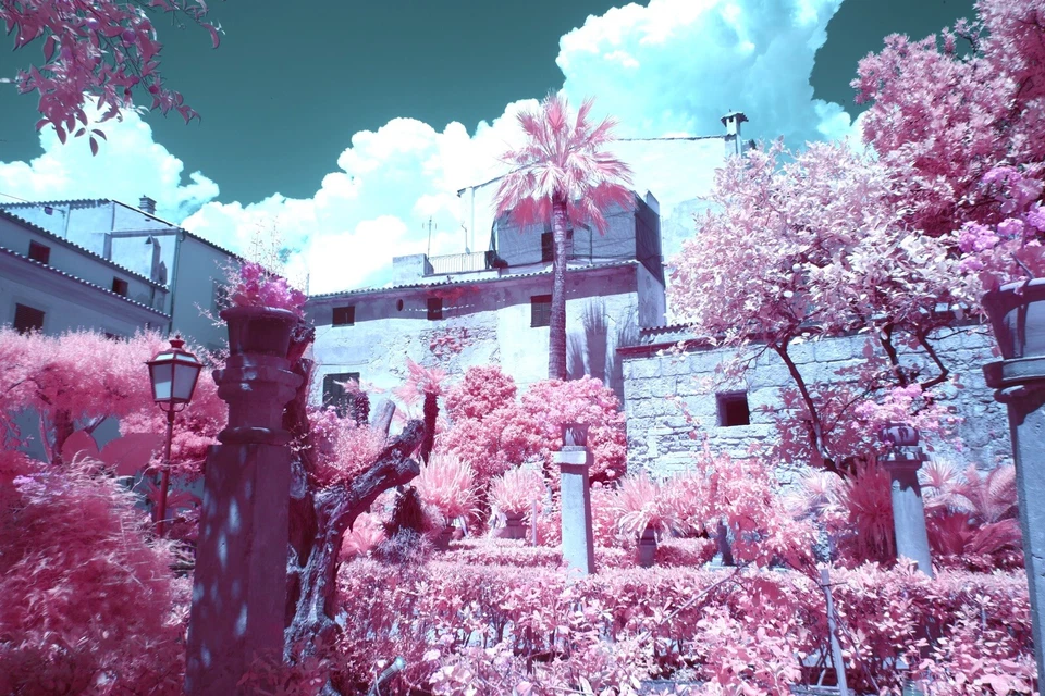 550nm Long Pass  Infrared Filter, 77mm, UK Seller, - - - full Spectrum mod - Image 2 of 4