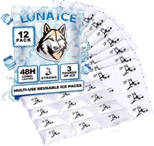 Dry Ice Packs for Shipping - Disposable Ice Packs - 48+ Hour Freeze Power - BPA