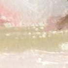 Bild 11 von 12