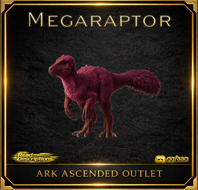 Megaraptor-Survival Ascended-Dino- Top-Colors-PC/XBOX/PS5 PvE ASA-Official-AAO