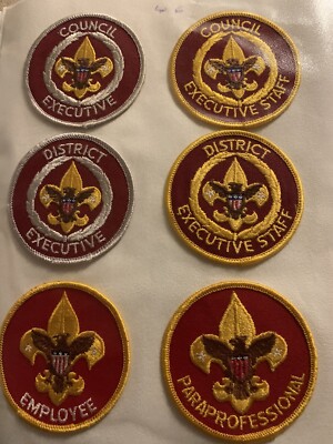 BSA Council Executive Board, District Executive, Rare Paraprofessional Loy Of 6