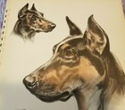 Bild 3 von 3