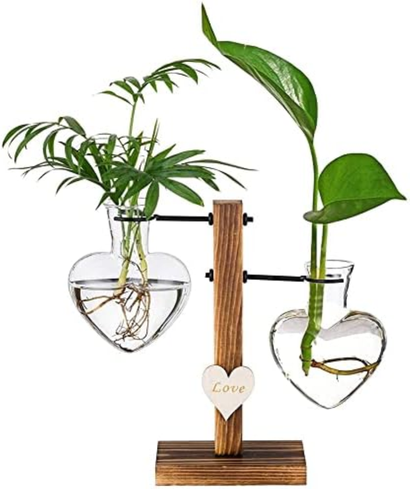 Supporto Idroponico in Legno con Vaso, Vasi Vaso a Bulbo di Vetro, Terrario per