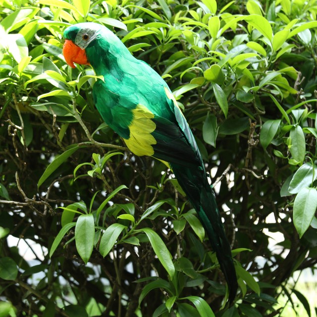 Large Artificial Parrot Bird Realistic Home Decor Budgie Taxidermy