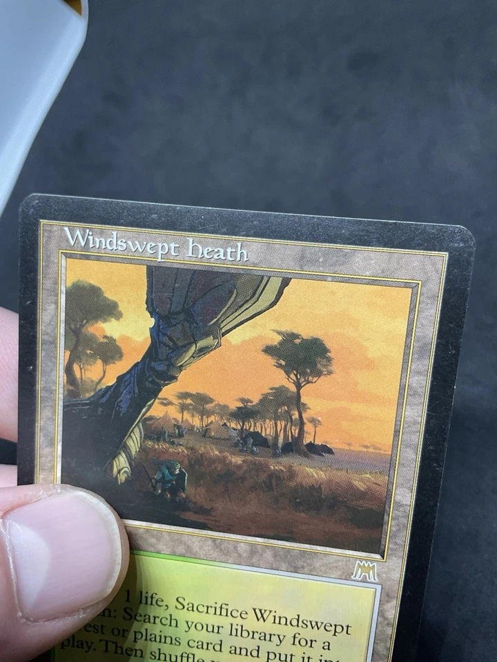 Windswept Heath Onslaught Regular MTG 328 MP - Image 4 of 4