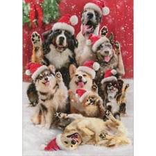 Group of Dogs with Raised Paws Posing in the Snow Funny 10 Christmas Cards