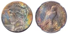 1924‑P Peace Dollar NGC MS63 • Multicolor Toning • Strong Luster • Video