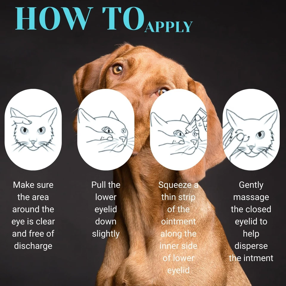 Terramypol Eye Ointment for Cats and Dogs, Horses, Birds, Sheep 3.5G/0.125Oz - P - Image 3 of 4