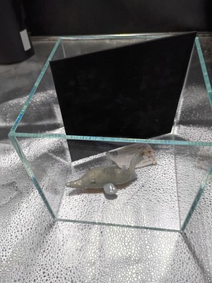 Aquatop High Quality Low Iron Gal Acrylic Salt/Fresh Water Aquarium 