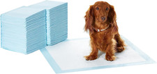 Dog and Puppy Pee Pads with Leak-Proof Quick-Dry Design for Potty Training, Stan