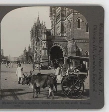 Varied Methods of Travel an Ekka in Bombay India Keystone Stereoview c1910