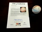 TED WILLIAMS BILL TERRY LAST .400 HITTERS HOF SIGNED AUTO ONL BASEBALL PSA/DNA