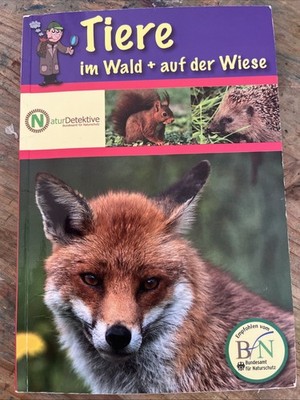 Tiere Im Wald & auf der Wiese von Feryal Kanbay (2018, Taschenbuch)