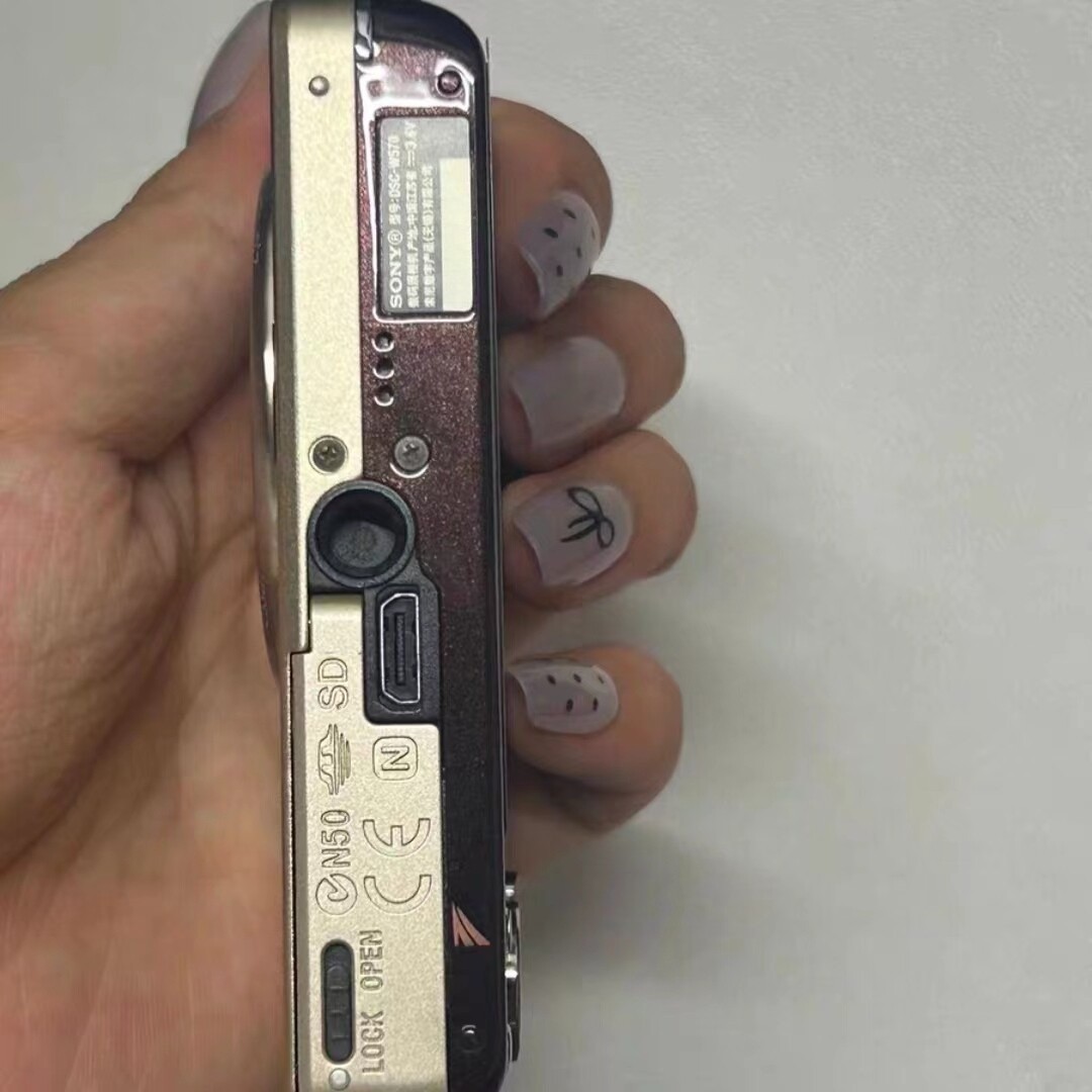 SONY Cyber-shot DSC-W570 16.1MP 5x Optical Zoom Digital Camera