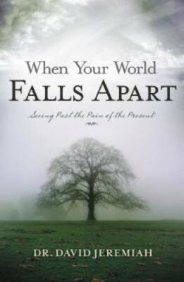 When Your World Falls Apart: See Past the Pain of the Present - Paperback - GOOD