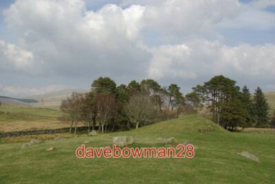 PHOTO  STONE CIRCLE AT HOLM OF DALTALLOCHAN A CIRCLE OF 13 WHINSTONE BOULDERS 20