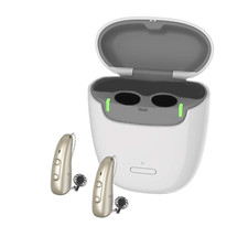 Signia Pure Charge Go 5 IX T Pair Fine Gold  Portable Charger