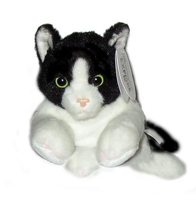 Black and White Cat 8