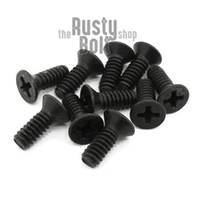 #4-40 x 5/16", Phillips Flat Head Screws, Stainless Steel, Black Oxide