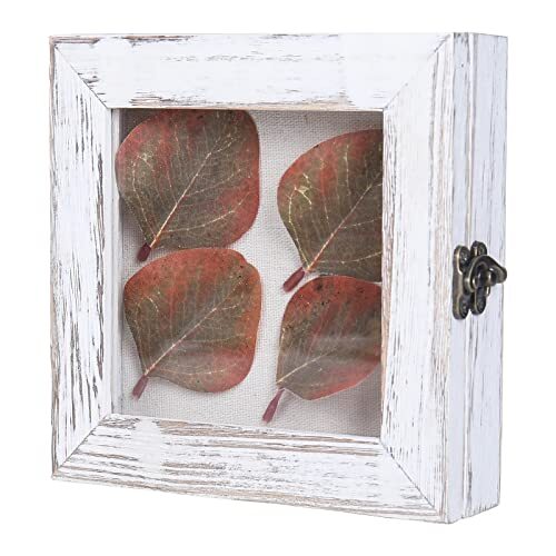 Shadow Box Frame 6x6 Small Shadow Box 4x4 Display Area with Glass