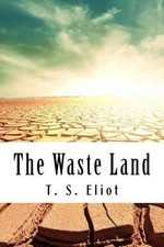 Thomas S Eliot The Waste Land (Paperback)