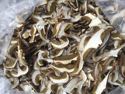 Dried Porcini Mushrooms Commercial Quality 100g Handcrafted Calabria