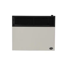 Ashley Hearth Products DVAG30N 25 000 BTU Direct Vent Natural Gas Heater