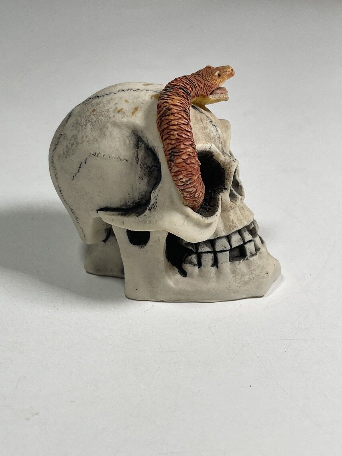 Resin Skull Figure Snake Collectable Halloween 3”