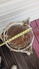 Cast Iron Chereb Plant Stand Potted Pedestal Ornate Victorian Style? — photo 6
