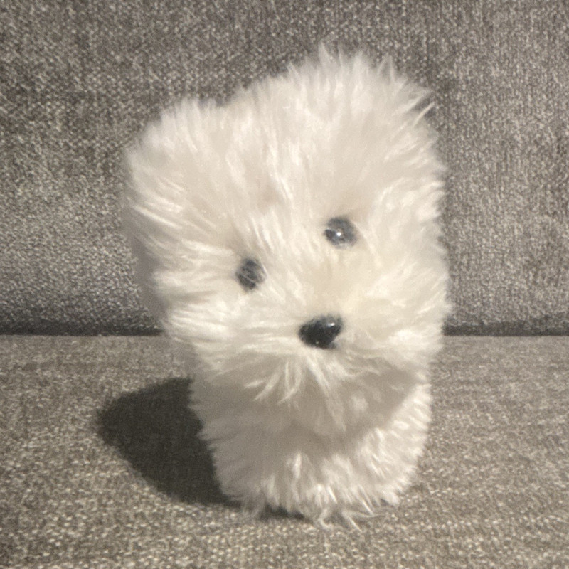 American Girl Dog  Coconut Plush Stuffed Animal Toy Small 5 inch Ages 3-10 