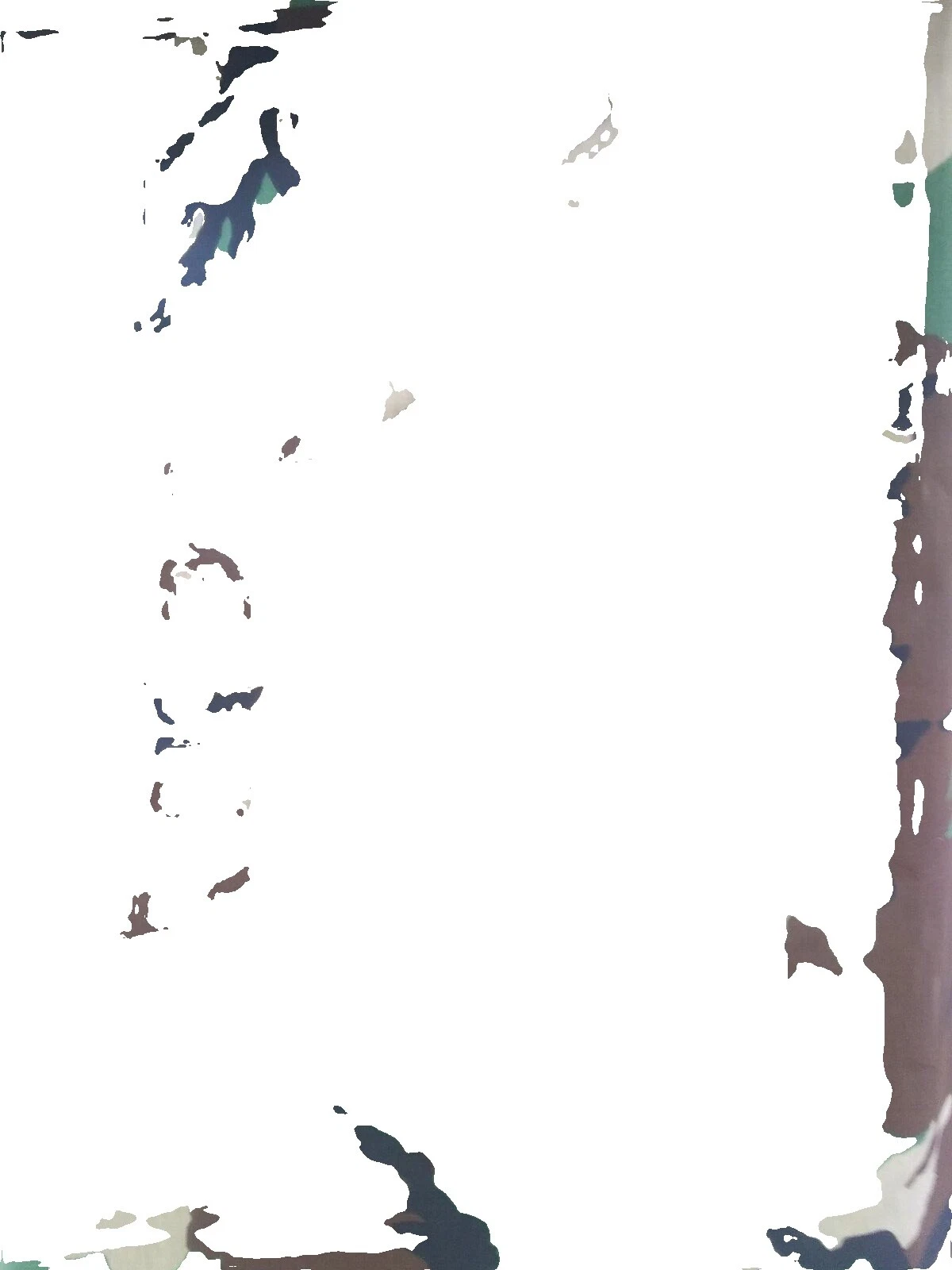 Woodland Camouflage Fabric