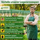 Bild 27 von 71