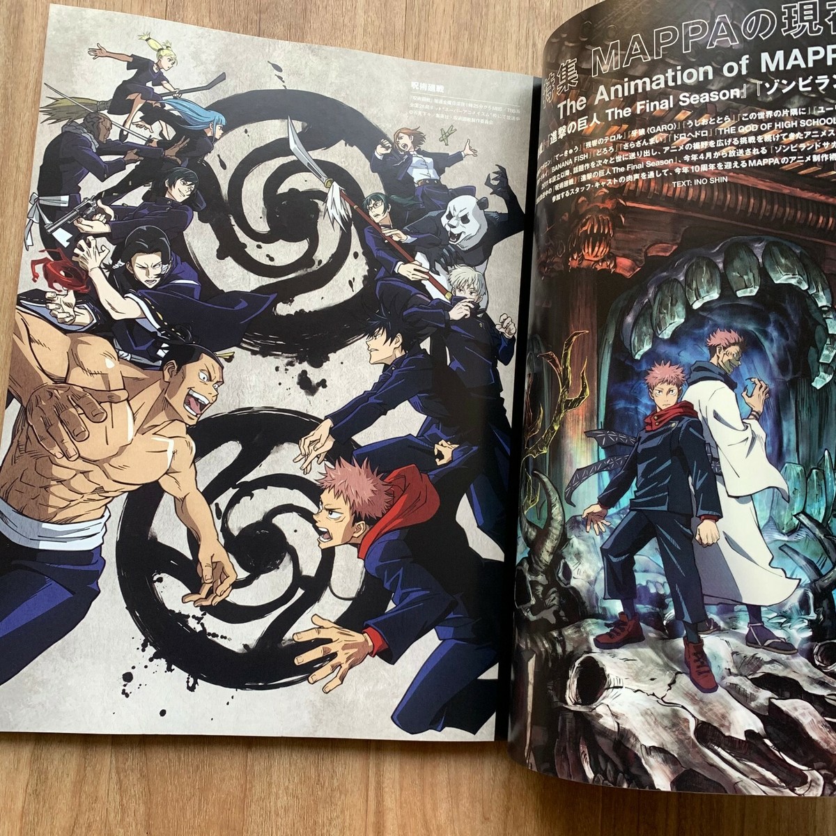 SWITCH Vol.39 Anime Culture MAPPA Jujutsu Kaisen AOT Zombie Land