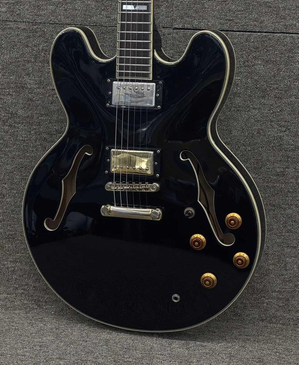 新品同様 Epiphone Sheraton II Pro 純正ハードケース Epiphone Sheraton II - USED