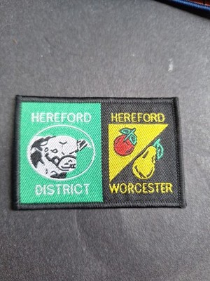 Pfadfinderabzeichen UK BEZIRK doppelt HEREFORD DISTRICT/HEREFORD WORCESTER