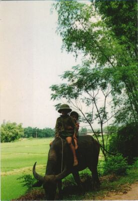 CPM AK VIETNAM Que Huong - A la Haie de Bambou de Village (1068885)