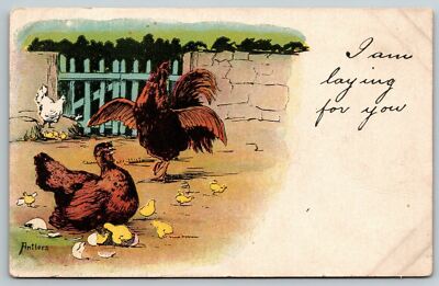 Postcard Of I am Laying For You Chickens Hen Rooster Chicks Postcard