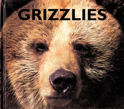 Grizzlies (Naturebooks) - library McDonald, Mary Ann