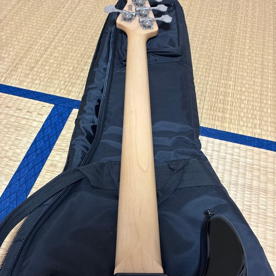 Bacchus Craft Series Woodline 5 String Bass No.MG1228 | eBay
