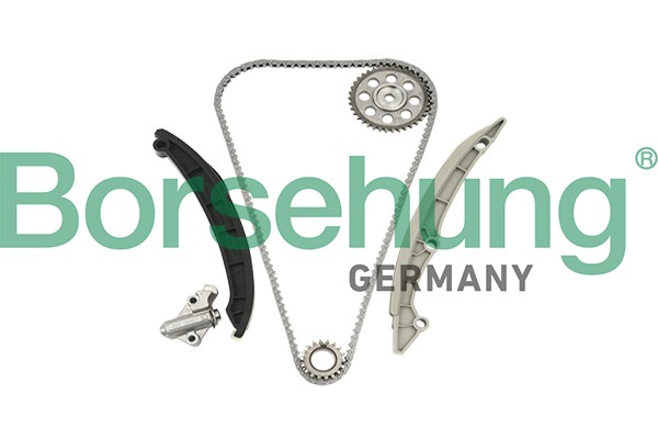 Borsehung Steuerkettensatz FüR Vw Tiguan 1.4 Tsi Eos Skoda Octavia Ii Combi 5N-image