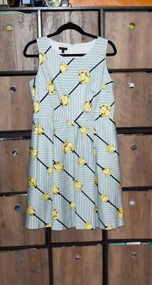 NWT Talbots $159 Crisp Tulip Sleeveless Fit  Flare Dress  Blue Yellow Stripe 10P