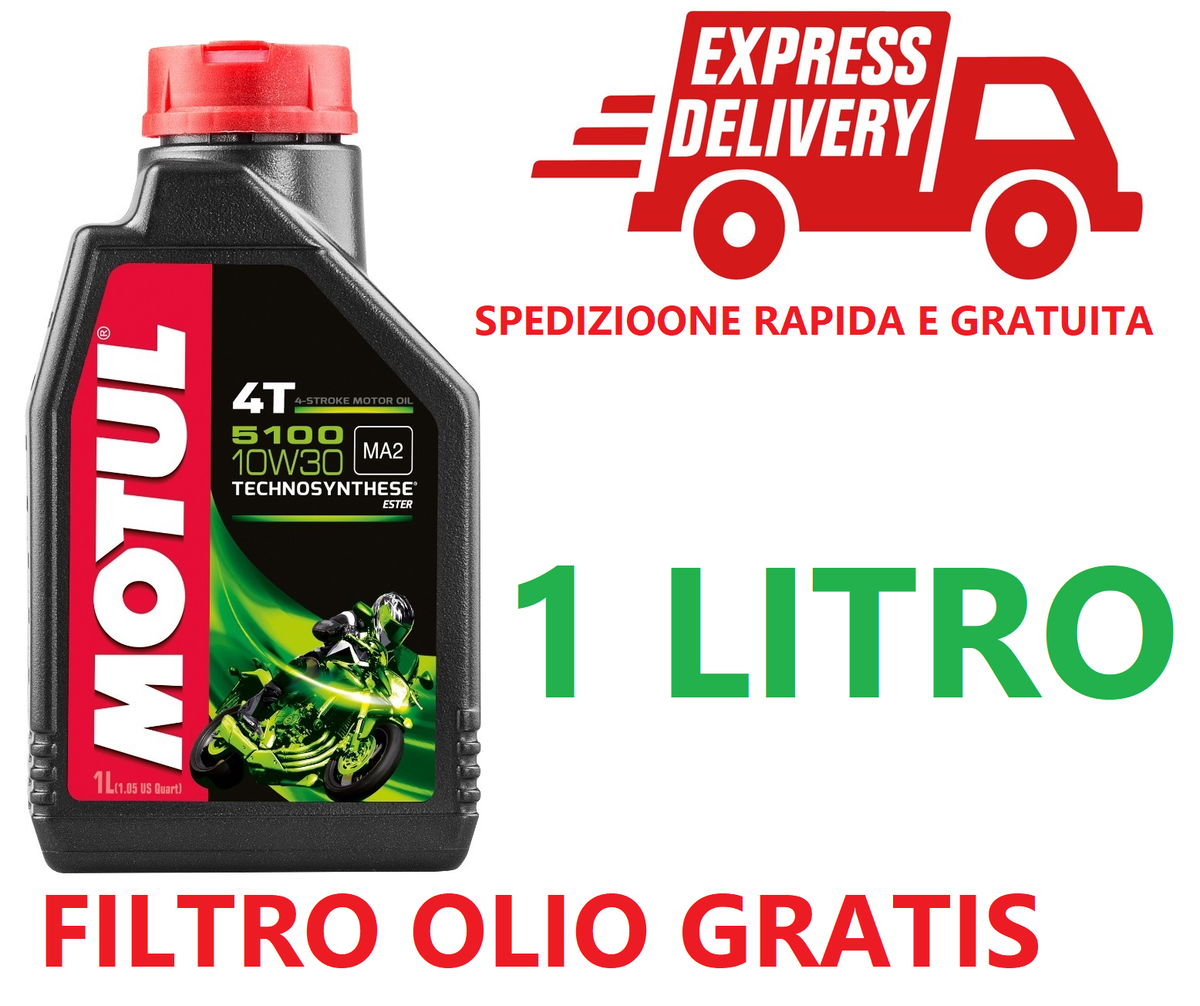 Per Quanto Riguarda Le Persone Grado Giotto Dibondon Filtro Olio Honda Shadow Vt