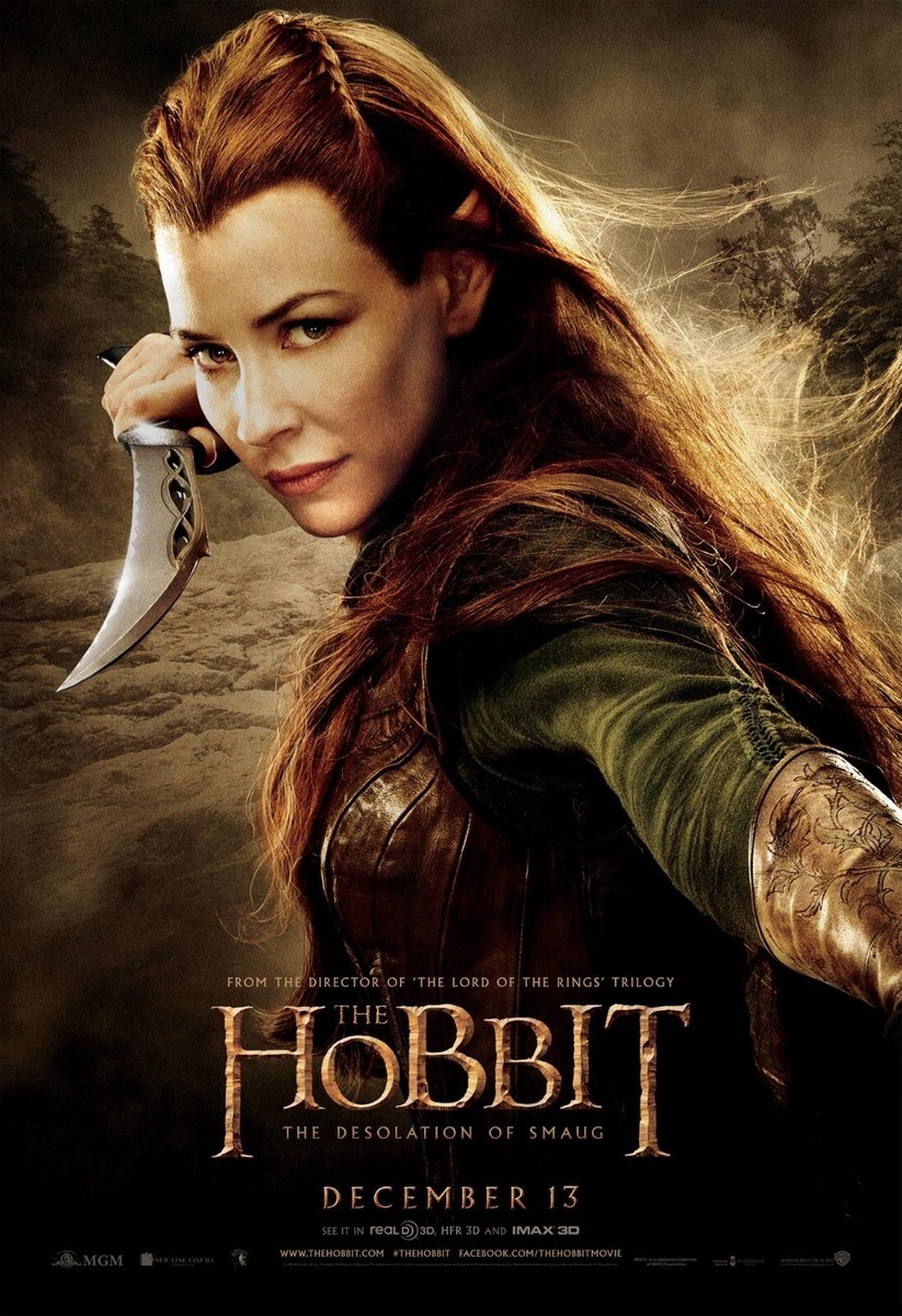 2013 The Hobbit The Desolation Of Smaug Movie Poster 11X17 Martin