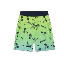 PUMA Swim Trunks Youth Boys Blue Casual Athletic 94286202