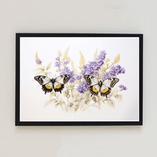 Vintage Schmetterlinge Illustration Botanisch Retro 7x5 Wohndeko Wandkunstdruck