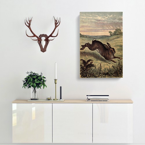 Vintage Tame Animals Hare Canvas Wall Art Print Framed Picture Decor Living Room - Picture 5 of 7