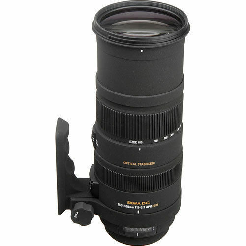 SIGMA APO 150-500mm F5-6.3 DG OS HSM for Canon 363648 | eBay